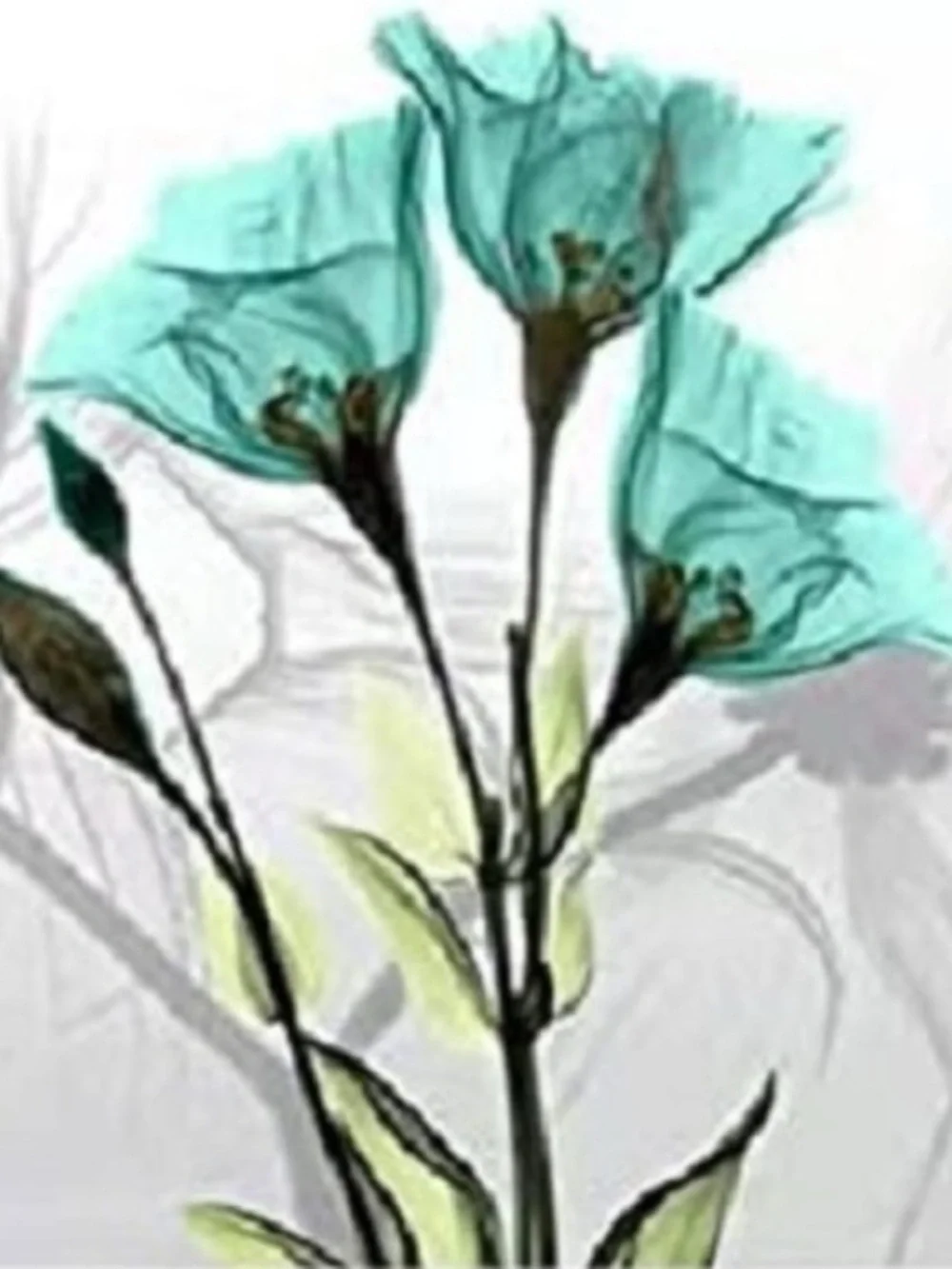 Hand-Painted Tulip Canvas Wall Art - Set of 4